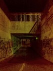 Acid Trip in Suburbia Acid Trip in Suburbia