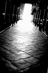 Sulla luce che guida... Sulla luce che guida...