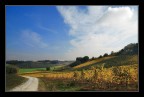 La valle del Sangiovese.... La valle del Sangiovese....