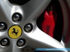 il cavallino il cavallino