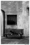 Finale Ligure - 11/09/07 Finale Ligure - 11/09/07