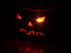 usa la Zucca 5% a tutti i nuovi sbranati usa la Zucca 5% a tutti i nuovi sbranati