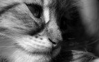 Piccoli sguardi Piccoli sguardi