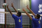 volley4 volley4