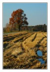 Autunno Autunno