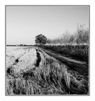 La primavera � in attesa