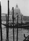 venezia venezia