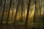 atmosfere mistiche atmosfere mistiche
