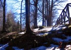 La prima nevicata La prima nevicata