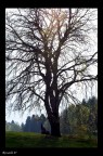 Col sole negli occhi e nel cuore Col sole negli occhi e nel cuore