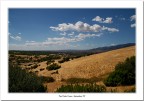 Marghine #5 Marghine #5