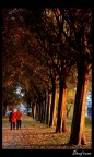 Une balade à travers l'automne Une balade à travers l'automne