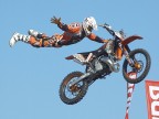 freestyle freestyle