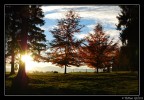 Autumn Autumn