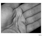 Il profumo delle mani Il profumo delle mani