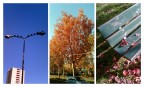 Periferico Autunno I Periferico Autunno I