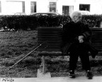 Bastone da compagnia... Bastone da compagnia...
