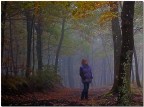 allegra nebbia allegra nebbia