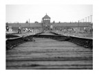 Auschwitz - Il binario della morte