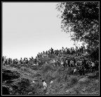 Pellegrinaggio Pellegrinaggio