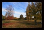November park November park