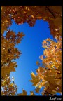 Autumn pt.6 Autumn pt.6