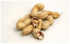 ...peanut...