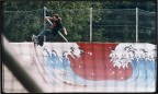 danny gallli - fs feeble al parco lambro