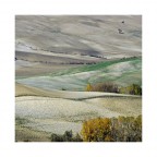 THE COLORS OF THE EARTH 1 (VAL D'ORCIA)