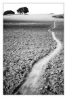 ...verso... ...verso...