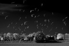 Cielo Stellato Cielo Stellato
