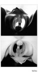 Orch_idee Orch_idee