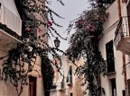 Fiori Fiori