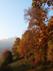 Il Mio Autunno Il Mio Autunno