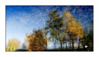 In..versione autunnale In..versione autunnale