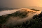 Nebbia agli irti colli. Nebbia agli irti colli.