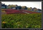 Colori d'autunno Colori d'autunno