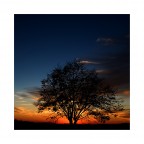 THE COLOURS OF THE EARTH 10 THE COLOURS OF THE EARTH 10