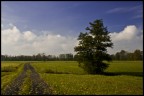 campagna tedesca campagna tedesca