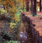 Rolleiflex 6006
Rollei Planar 80 f2,8 HFT
Fujichrome Velvia 100F