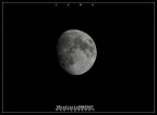 :: LUNA :: LUNA