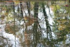 fontana degl'alberi fontana degl'alberi