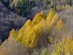 autunno 4 autunno 4