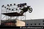 Freestyle 1 Freestyle 1