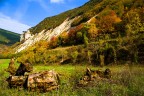 Scorcio Scorcio