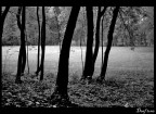 Autumn pt.14 Autumn pt.14