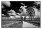 Una strada..tra le nuvole Una strada..tra le nuvole