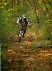 downhill downhill