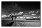 Cuori in inverno... Cuori in inverno...