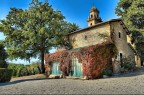 Il vivaio Il vivaio